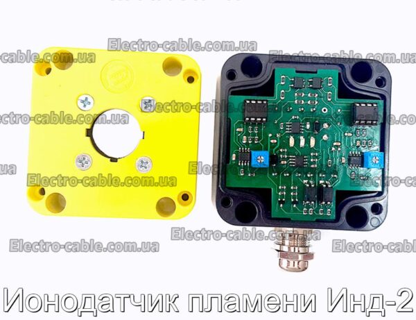 Іонодатчик полум&#39;я Інд-2 – фотографія №1.