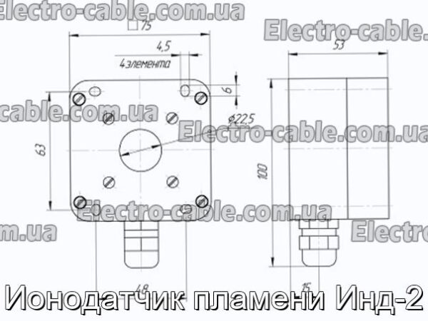 Іонодатчик полум&#39;я Інд-2 – фотографія №2.