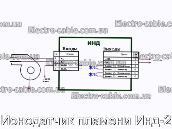 Іонодатчик полум&#39;я Інд-2 - фотографія №3.