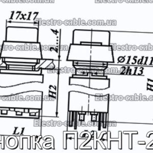 Кнопка П2КНТ-2В - фотография № 1.