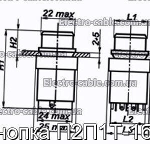Кнопка П2П1Т-1бВ - фотография № 1.