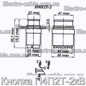 Кнопка П4П2Т-2кВ - фотография № 1.