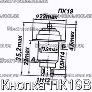 Кнопка ПК19В - фотография № 1.