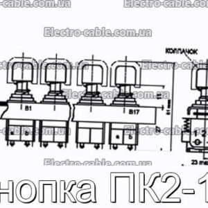 Кнопка ПК2-17 - фотография № 1.