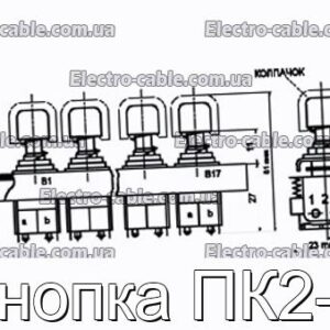 Кнопка ПК2-4 - фотография № 1.