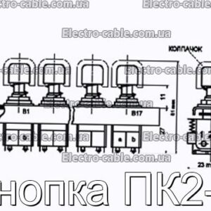 Кнопка ПК2-6 - фотография № 1.