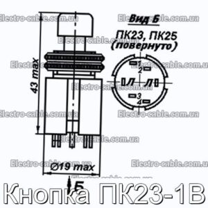 Кнопка ПК23-1В - фотография № 1.