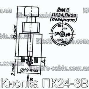 Кнопка ПК24-3В - фотография № 1.