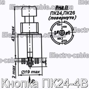 Кнопка ПК24-4В - фотография № 1.