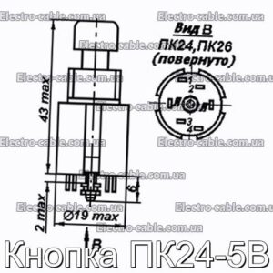 Кнопка ПК24-5В - фотография № 1.