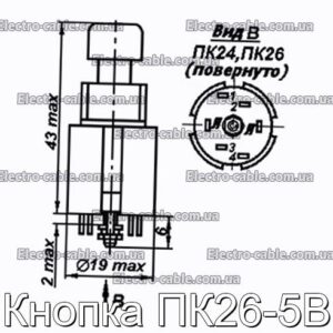 Кнопка ПК26-5В - фотография № 1.