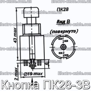 Кнопка ПК28-3В - фотография № 1.