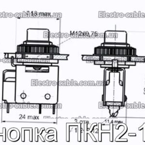 Кнопка ПКН2-1В - фотография № 1.