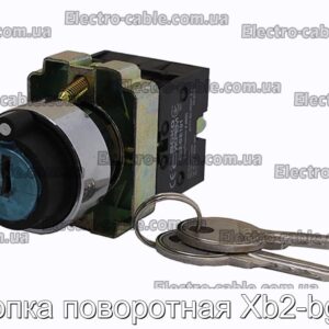 Кнопка поворотная Xb2-bg03 - фотография № 1.