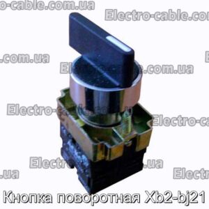 Кнопка поворотная Xb2-bj21 - фотография № 1.