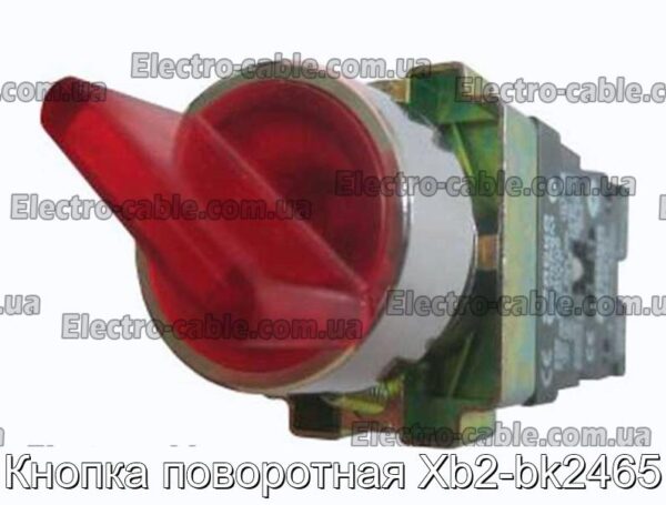 Кнопка поворотная Xb2-bk2465 - фотография № 1.