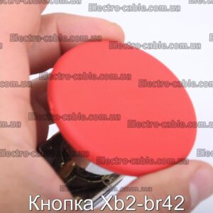 Кнопка Xb2-br42 - фотография № 1.