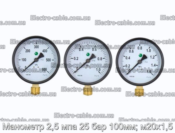 Манометр 2,5 мпа 25 бар 100мм; м20х1,5 - фотография № 1.