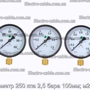 Манометр 250 кпа 2,5 бара 100мм; м20х1,5 - фотография № 1.