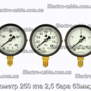 Манометр 250 кпа 2,5 бара 63мм; м12 - фотография № 1.