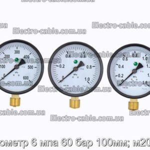 Манометр 6 мпа 60 бар 100мм; м20х1,5 - фотография № 1.