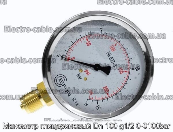 Манометр глицериновый Dn 100 g1/2 0-0100bar - фотография № 1.