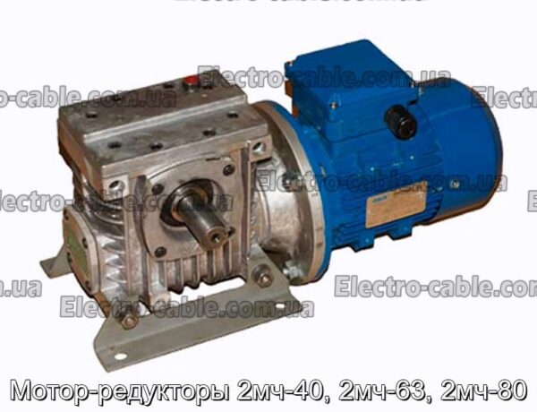 Мотор-редукторы 2мч-40, 2мч-63, 2мч-80 - фотография № 1.