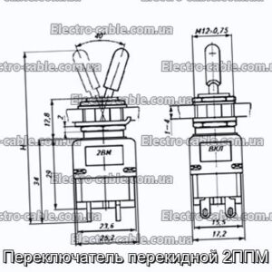 Переключатель перекидной 2ППМ - фотография № 1.