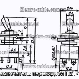 Переключатель перекидной П2Т-1-1В - фотография № 1.