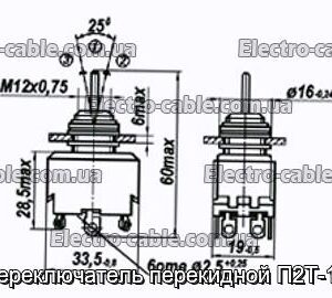 Перемикач перекидний П2Т-13 - фотографія №1.
