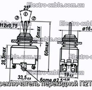 Перемикач перекидний П2Т-1В - фотографія №1.