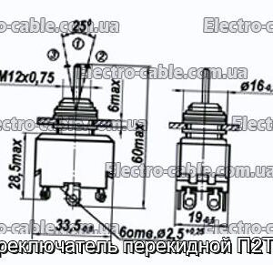 Переключатель перекидной П2Т-24 - фотография № 1.