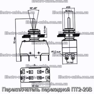 Переключатель перекидной ПТ2-20В - фотография № 1.