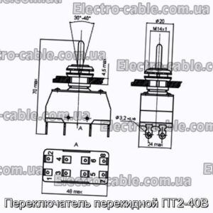 Переключатель перекидной ПТ2-40В - фотография № 1.