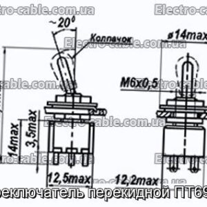 Переключатель перекидной ПТ69-2В - фотография № 1.