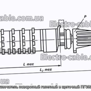 Переключатель поворотный галетный и щеточный ПГ39Ш-50В - фотография № 1.