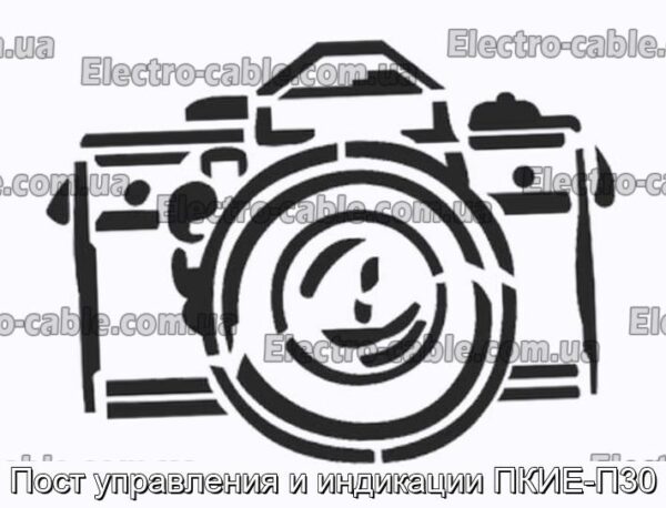 Пост -контроль та індикатор PICKE -P30 -Фотографія № 1.