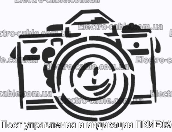 Пост управления и индикации ПКИЕ09 - фотография № 1.