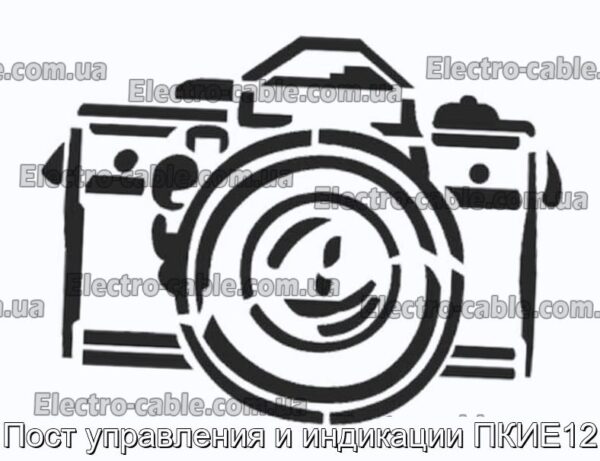 Пост управления и индикации ПКИЕ12 - фотография № 1.