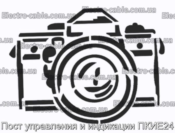 Пост управления и индикации ПКИЕ24 - фотография № 1.