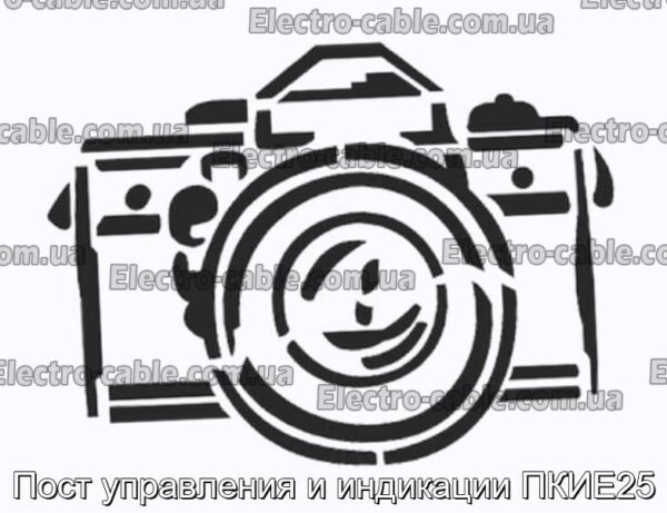 Пост управління та індикації PICKE25 - Фотографія № 1.