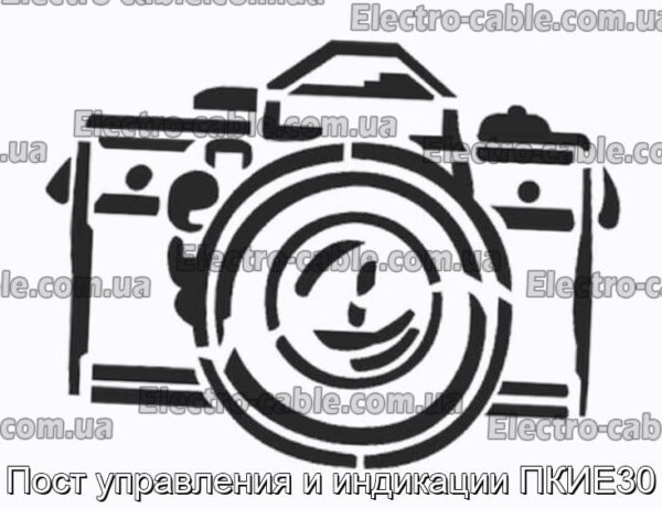 Пост управления и индикации ПКИЕ30 - фотография № 1.