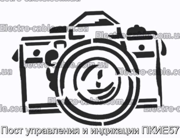 Пост управления и индикации ПКИЕ57 - фотография № 1.