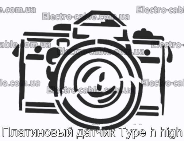 Платиновый датчик Type h high - фотография № 1.