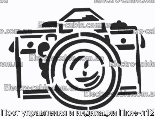 Пост управления и индикации Пкие-п12 - фотография № 1.