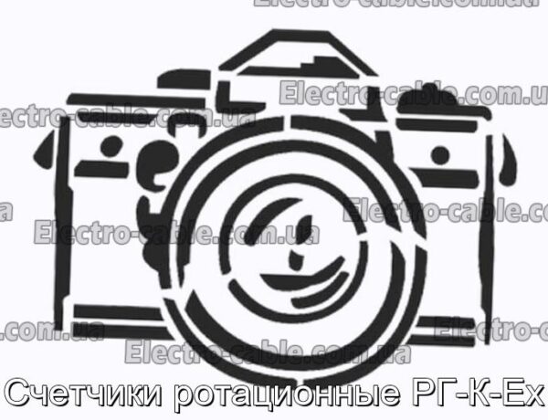 Лічильники ротаційні РГ-К-Ех – фотографія №1.