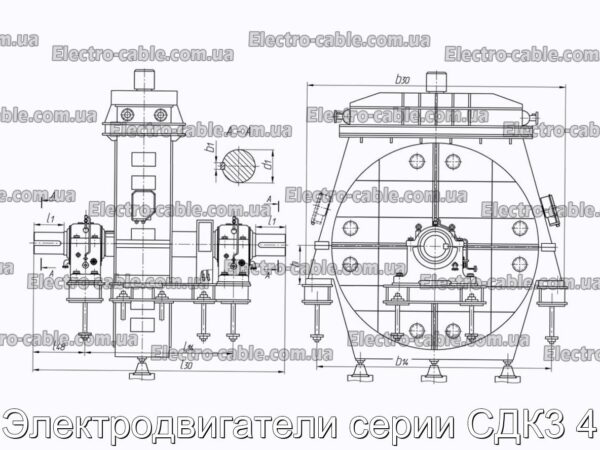 Електричні двигуни SDK3 Series 4 - Фотографія № 3.