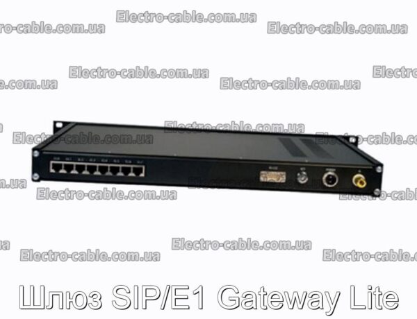 Шлюз SIP/E1 Gateway Lite - фотография № 1.