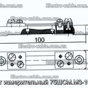 Шунт измерительный 75ШСМ.М3-10-0.5 - фотография № 1.