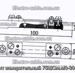 Шунт вимірювальний 75ШСМ.М3-30-0.5 - фотографія №1.